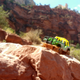 Illustration for article titled Grand Canyons Green Jeep Tours